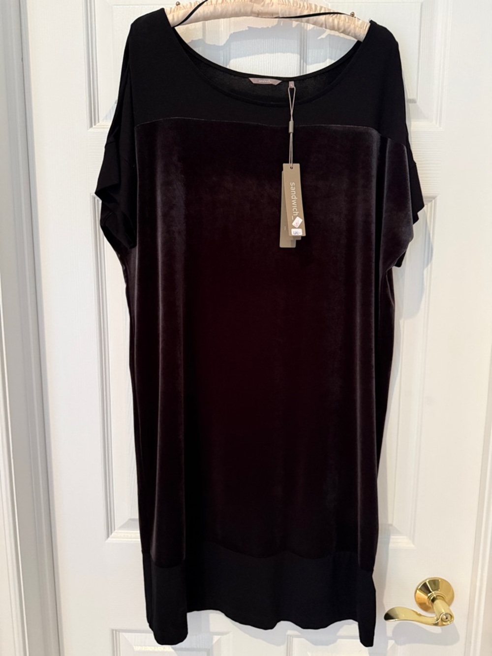 Sandwich Velvet Panel Black Shift Dress - NWT!